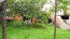 garden with fruit trees