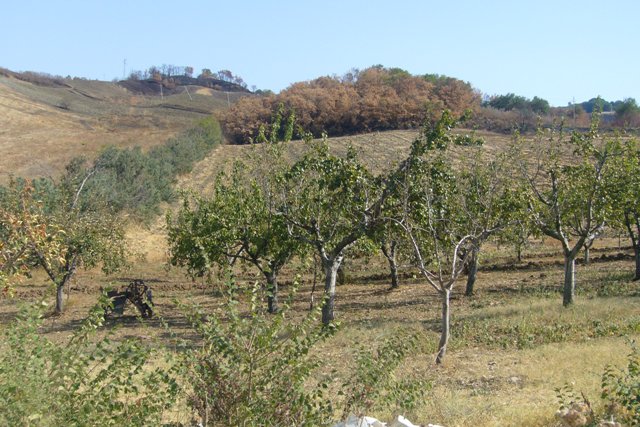 Property for sale in Atessa