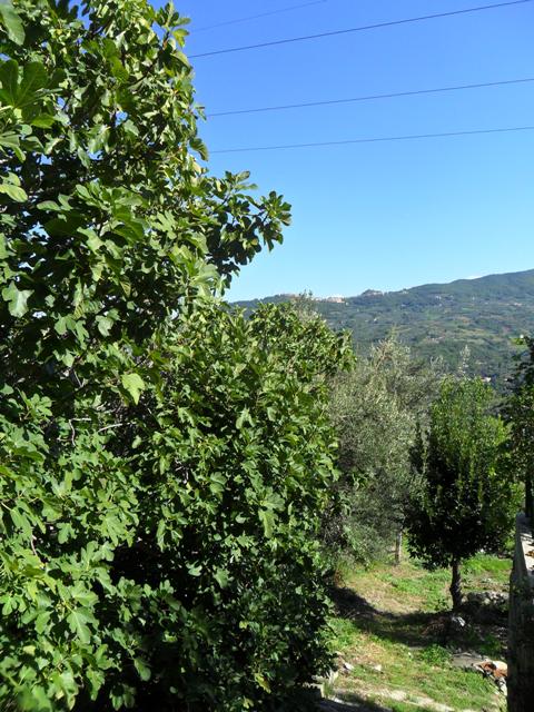 Property for sale in Abruzzo